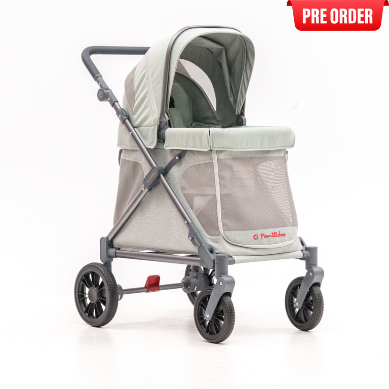 Quad Stroller with Canopy Daycare Buggy Motorized Infant Options familidoo